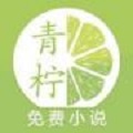 青柠小说全文阅读
