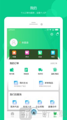 红桃尖