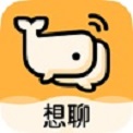 想聊