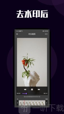闪电短视频去水印