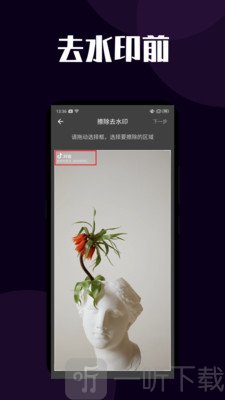 闪电短视频去水印