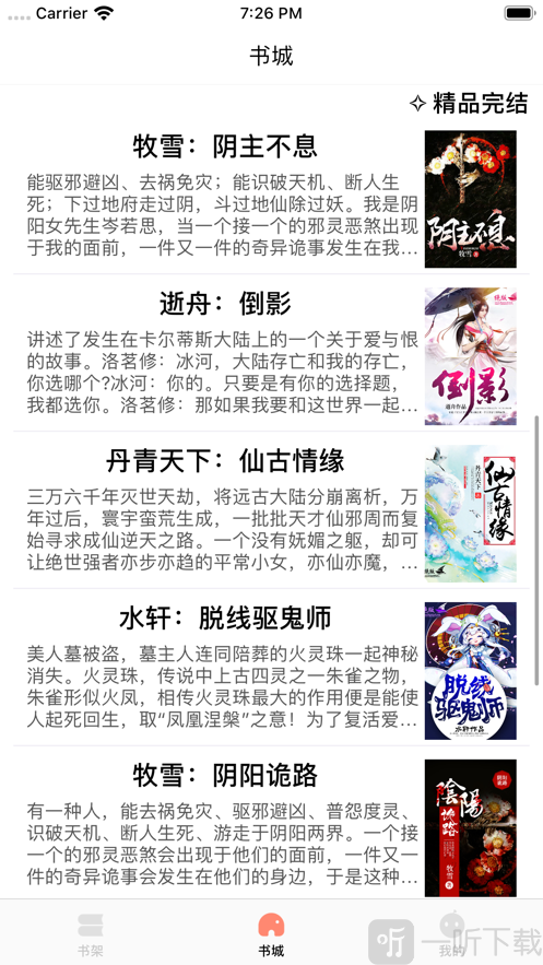 皮皮书小说