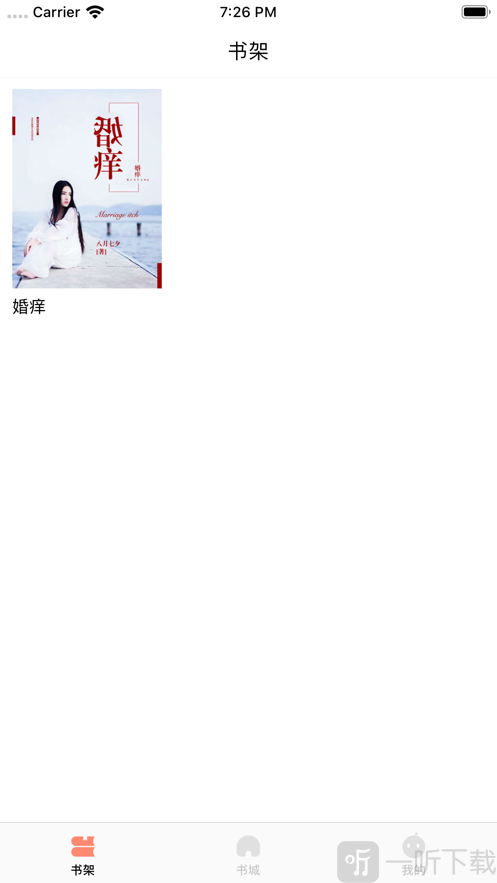 皮皮书小说