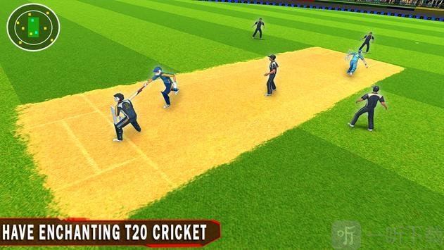 T20板球锦标赛