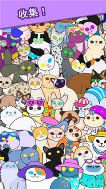 心动契约猫咪进化论