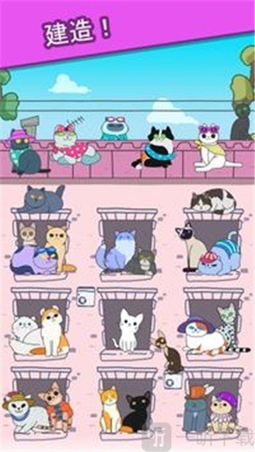 心动契约猫咪进化论