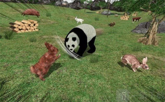 动物熊猫模拟器