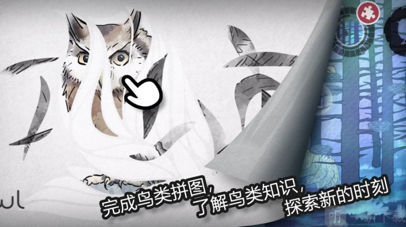 森鸟画语