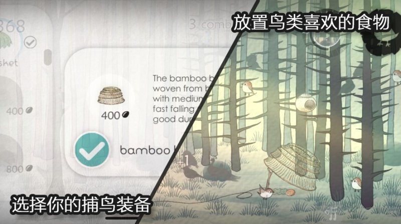 森鸟画语
