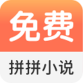拼拼小说阅读器