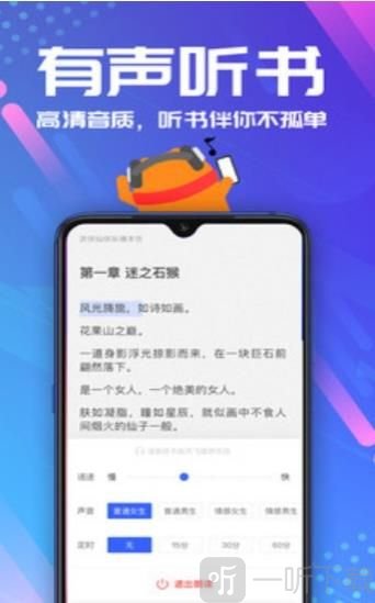 安然小说