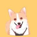 哈斯士基小说app