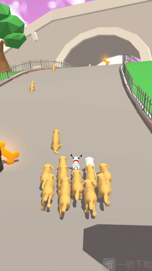 狗堆