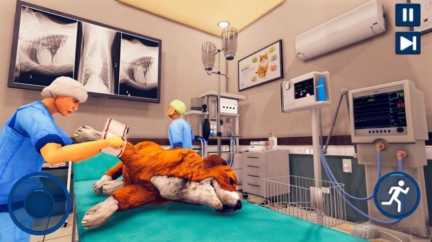 宠物兽医医院