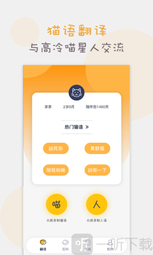 猫语猫咪翻译器