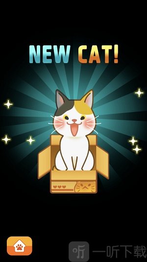 猫尾巴的故事
