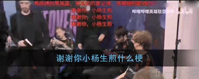 谢谢你小杨生煎什么梗 谢谢你小杨生煎出自哪里