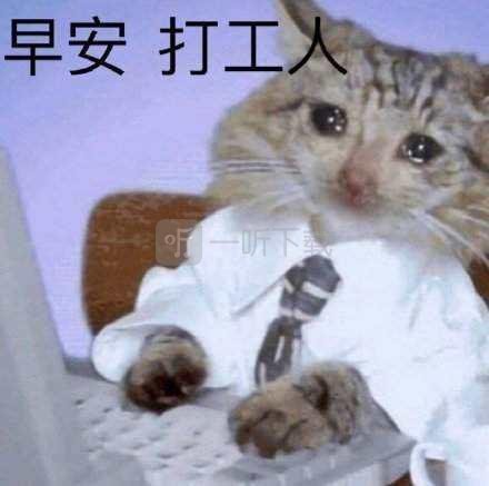 打工人的梗是什么意思 打工人经典语录和表情包