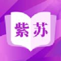 紫苏小说