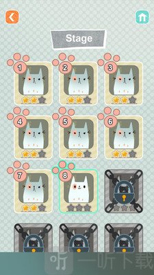 猫猫大哥