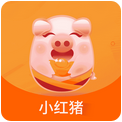小红猪