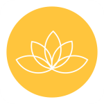 霸王花