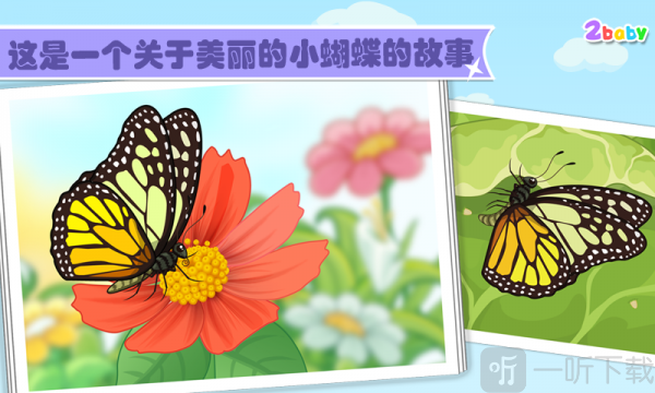 传奇蝴蝶