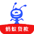蚂蚁金条