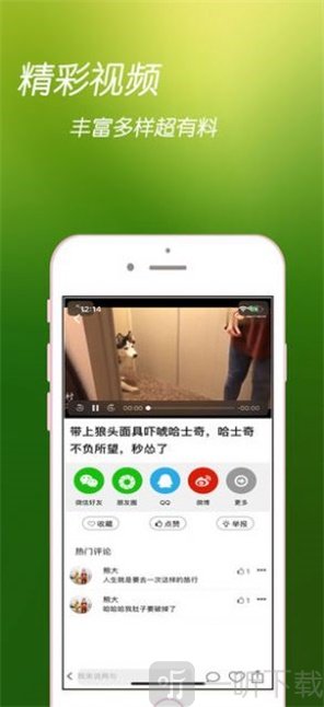 闲看点