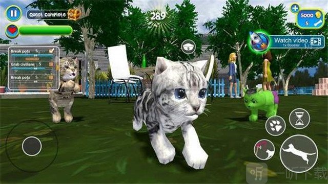 虚拟猫模拟器