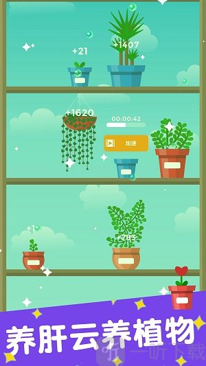 植物日记