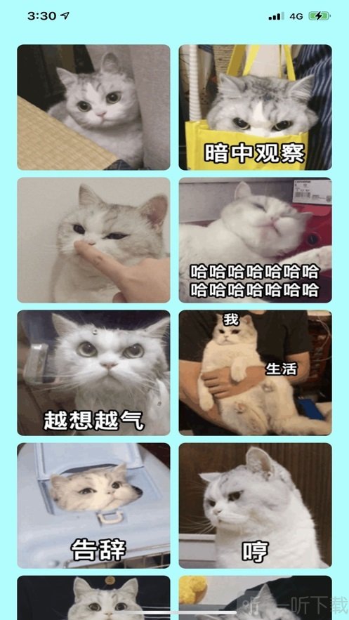 小噗通