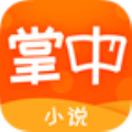 掌中小说大全