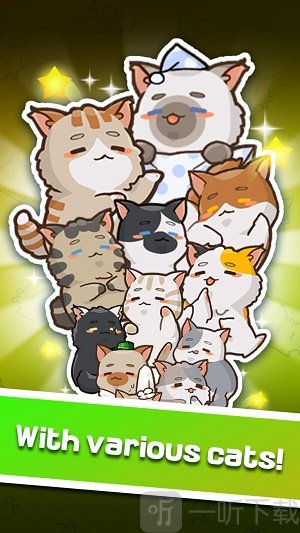 猫主子的日常