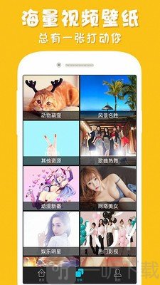 安卓主题壁纸