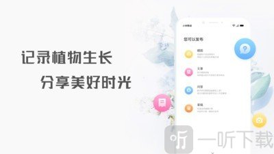 花信