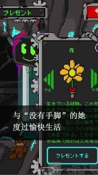 挚爱