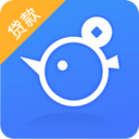 小鸽贷