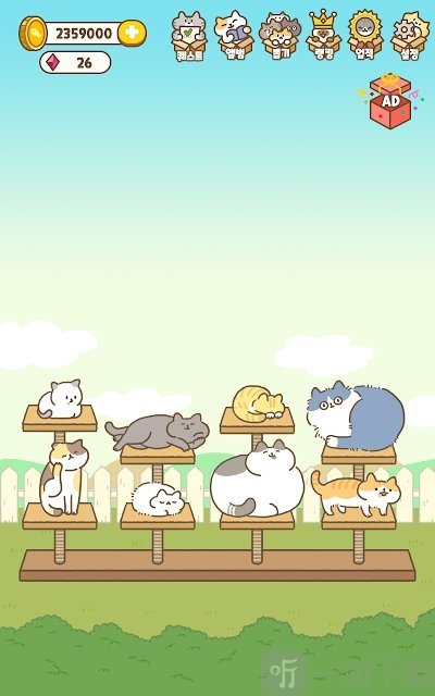 猫窝纸箱