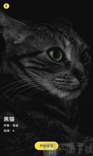 什么鬼啊