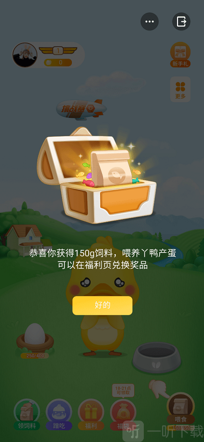丫鸭梦想家
