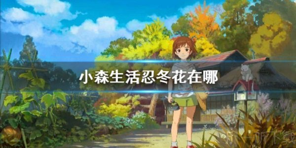 小森生活忍冬花位置在哪 忍冬花的刷新机制介绍