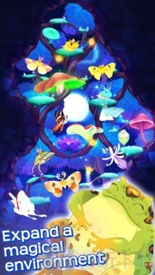 彩翼之星夜