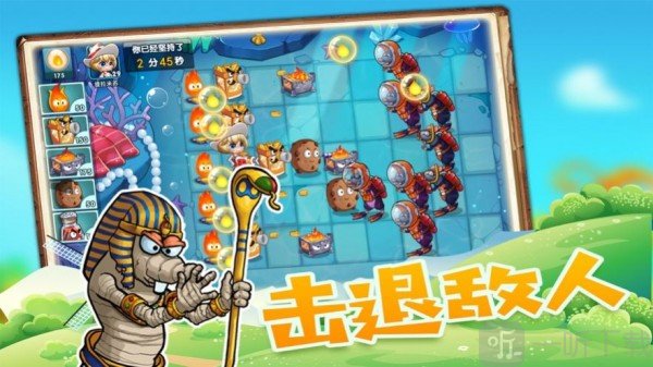 提拉米苏小姐