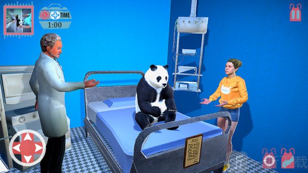 宠物外科医院