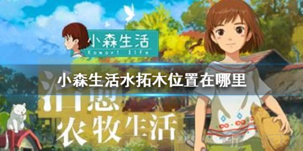 小森生活水拓木在哪 水拓木刷新点介绍
