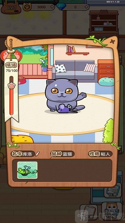 蓝星猫猫