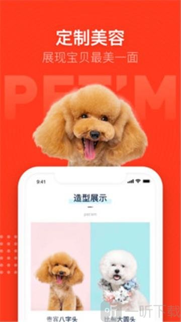 宠物家