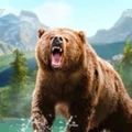 野生动物冲突最新版