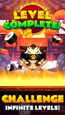 空手道猫咪